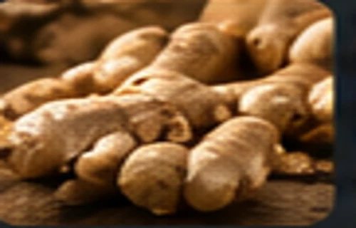 Selected ginger roots